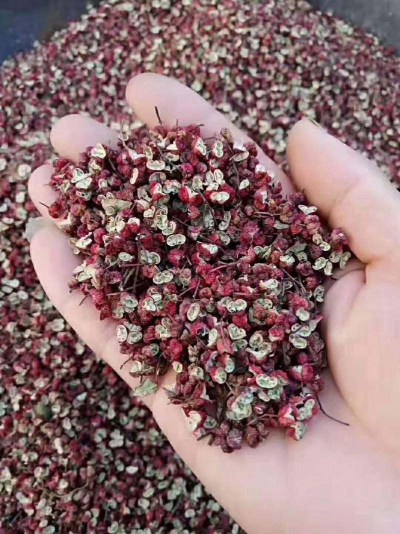陇南花椒