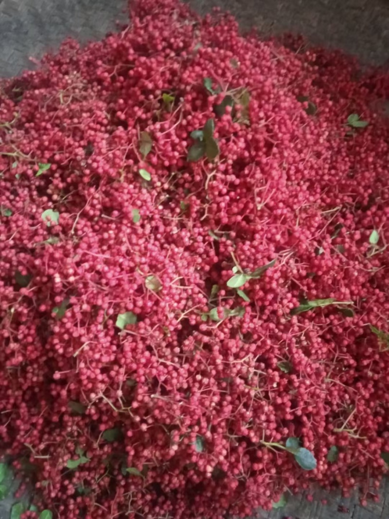 陇南花椒