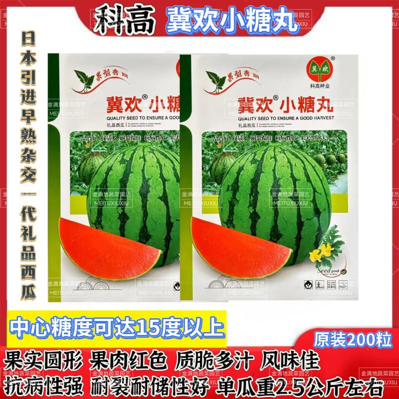冀欢小糖丸西瓜种子高糖早熟抗病耐裂礼品西瓜种子高端小西瓜