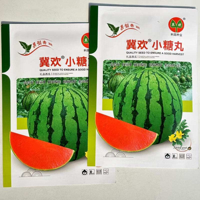 冀欢小糖丸西瓜种子高糖早熟抗病耐裂礼品西瓜种子高端小西瓜