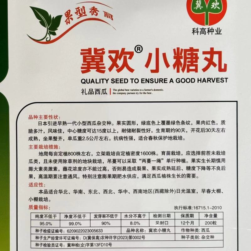 冀欢小糖丸西瓜种子高糖早熟抗病耐裂礼品西瓜种子高端小西瓜