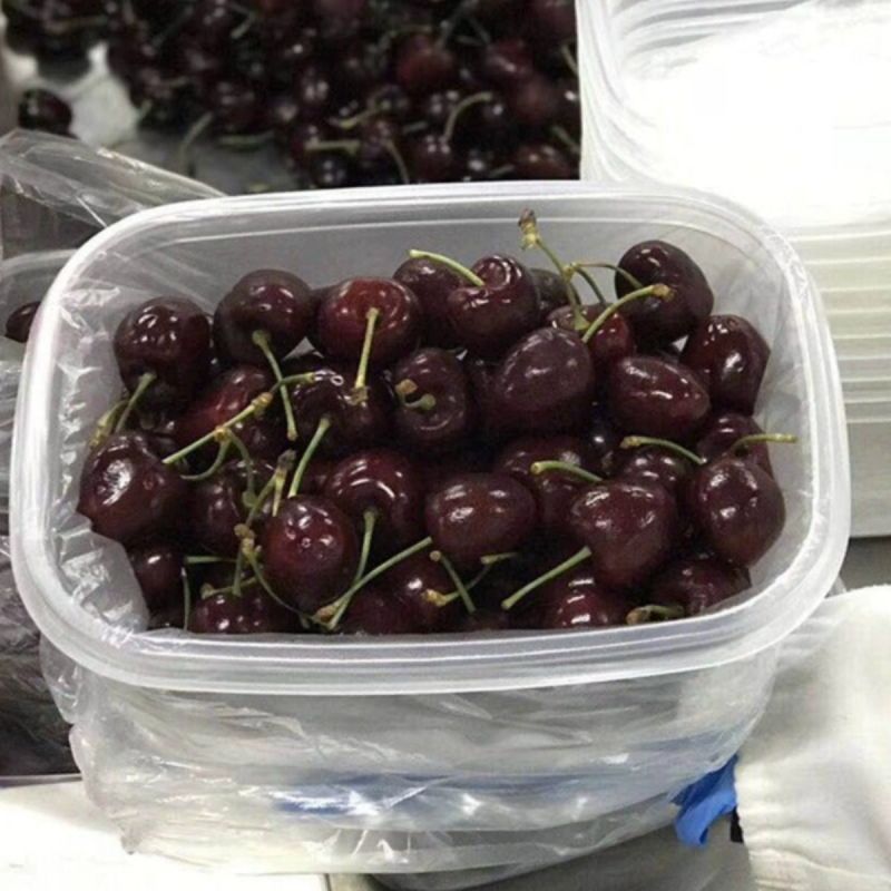 车厘子5斤樱桃新鲜水果当季顺丰包邮孕妇果桑提娜一件