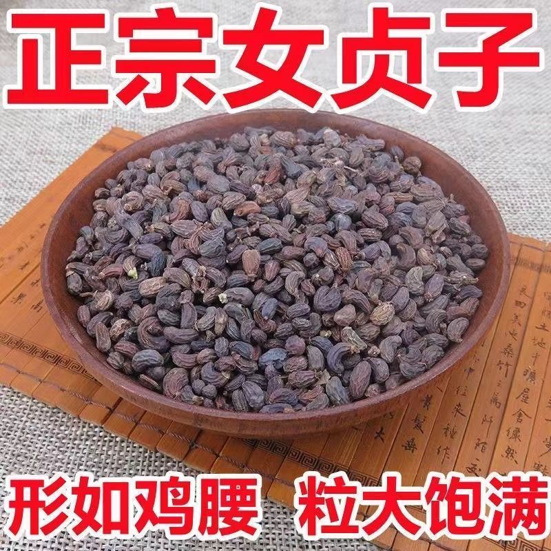 女贞子正品药用高含量欢迎来电咨询