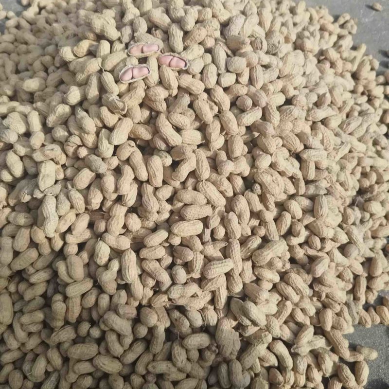 精品花生，产地直销，大量有货，质量保证，可视频看货