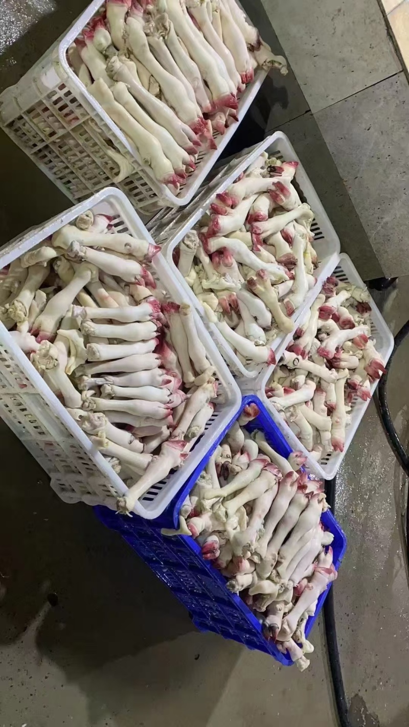 羊蹄，育肥不抽筋，抽筋，各种型号，规格齐全