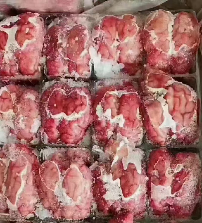 精品对脑。羊脑，汤锅专用，每天新鲜加工。