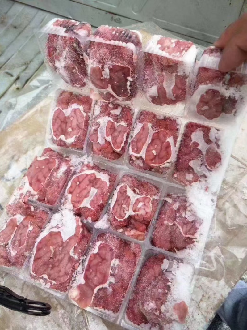 精品对脑。羊脑，汤锅专用，每天新鲜加工。