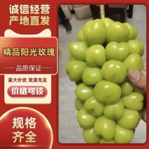 阳光玫瑰葡萄大量供应，要高性价比货的，联系我，