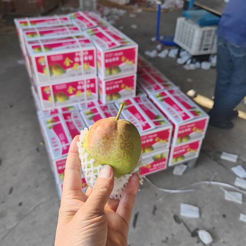 精品礼盒香梨！产地发货！质量保障服务全国各地客商！