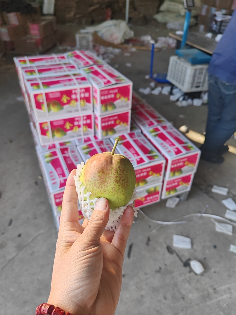 精品礼盒香梨！产地发货！质量保障服务全国各地客商！