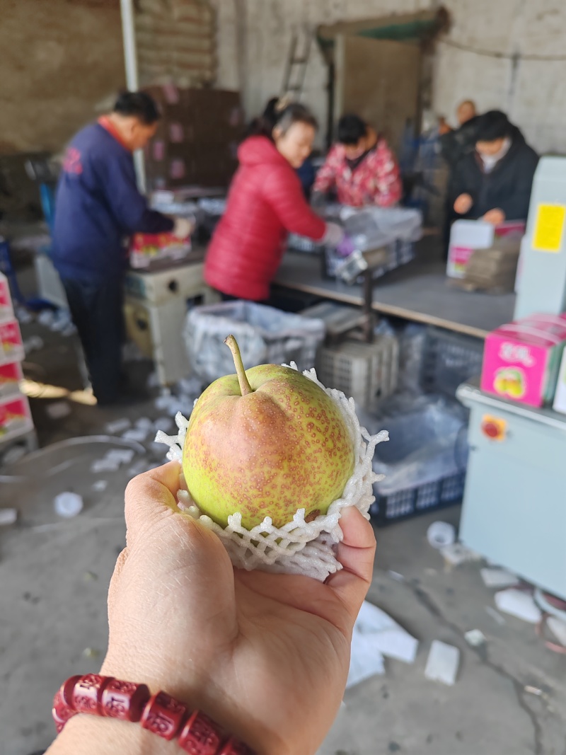 精品礼盒香梨！产地发货！质量保障服务全国各地客商！