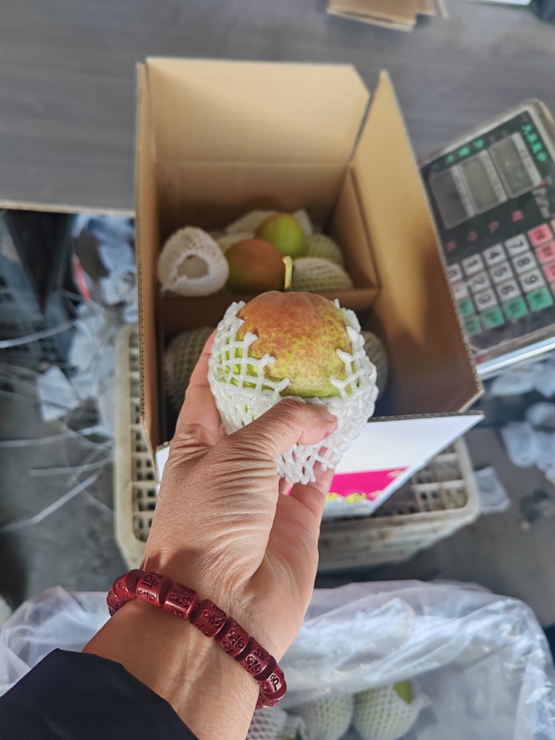 精品礼盒香梨！产地发货！质量保障服务全国各地客商！