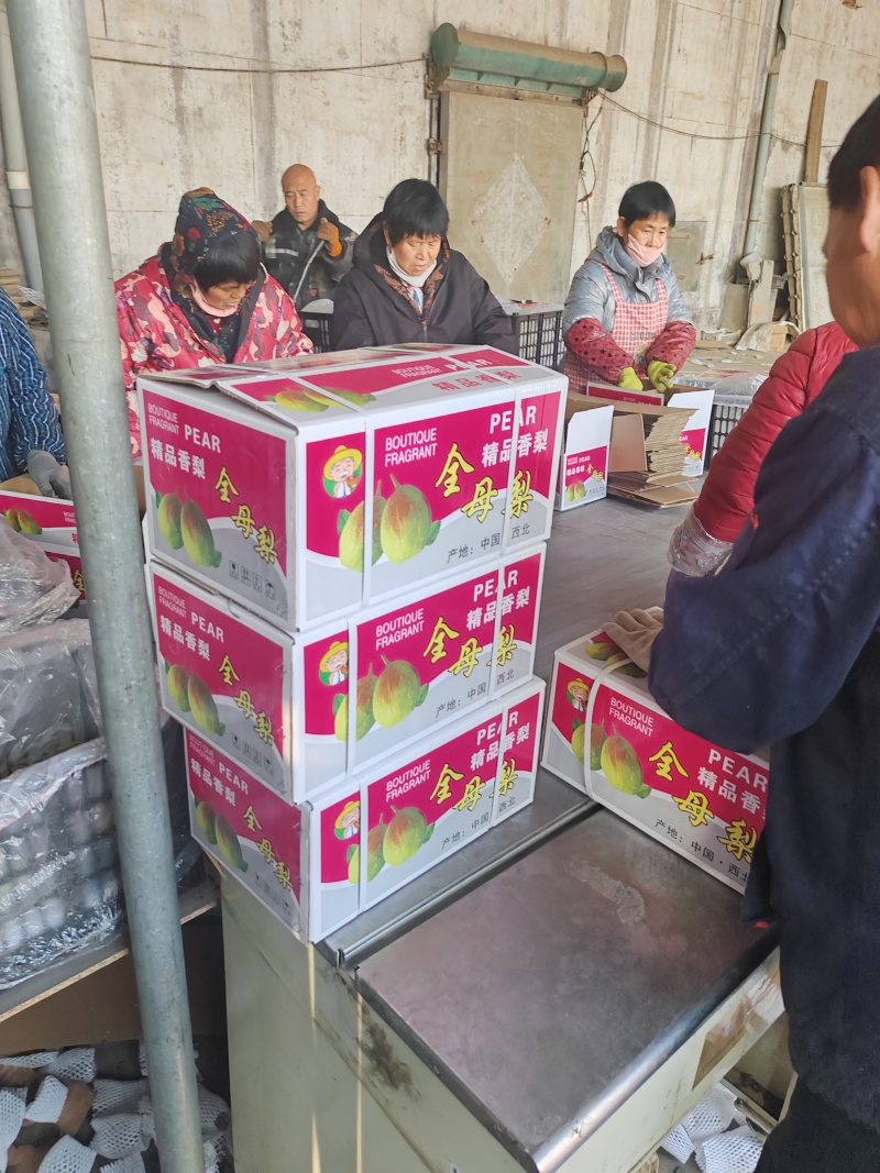 精品礼盒香梨！产地发货！质量保障服务全国各地客商！