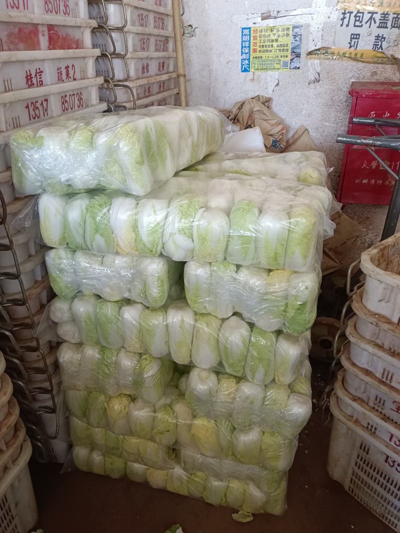 我有精品大娃娃和小娃娃菜要的老板联系