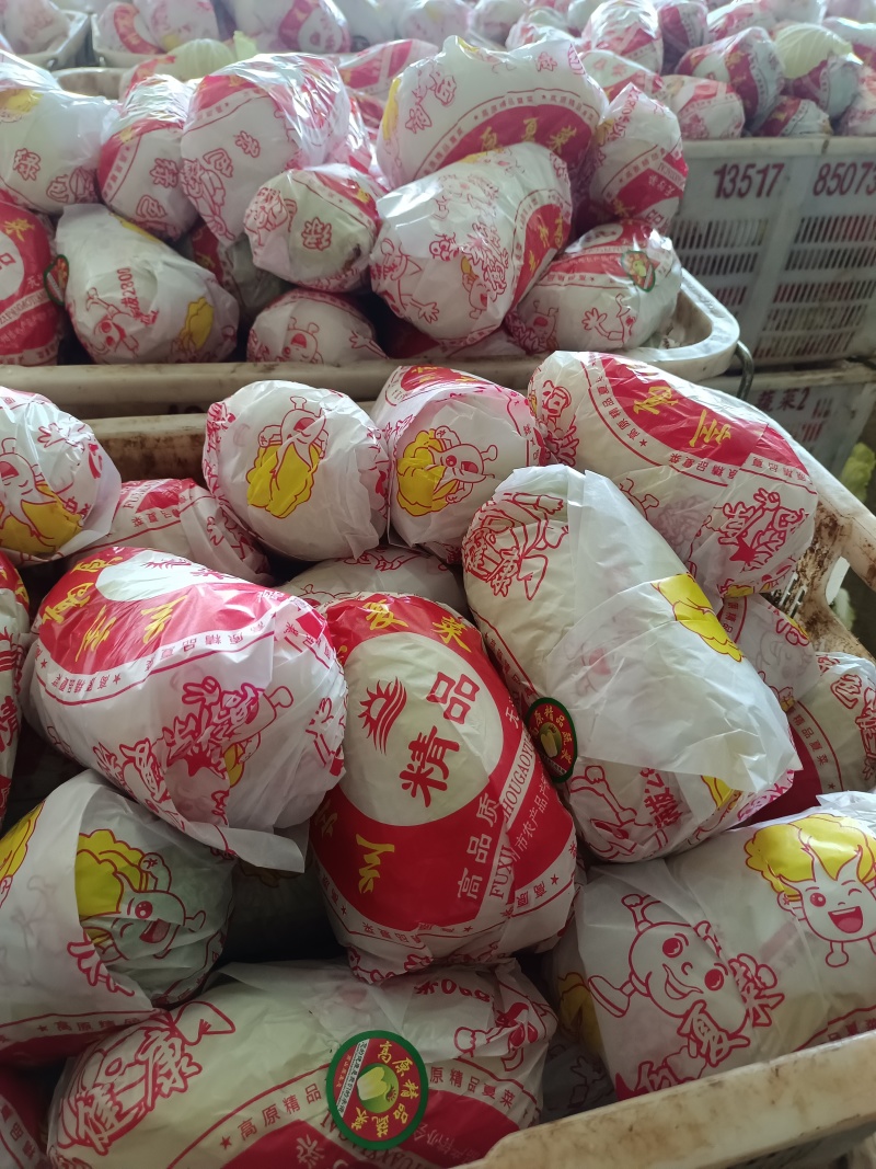 我有精品大娃娃和小娃娃菜要的老板联系