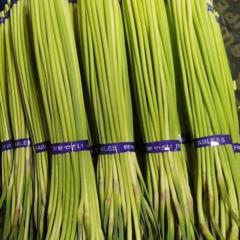 【冰点价】开封红帽蒜薹蒜台一斤一把整齐打捆卖相好水分足