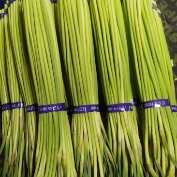 【人气旺】河南蒜薹货量大冷库打冷已打捆可以装袋赶集办年货