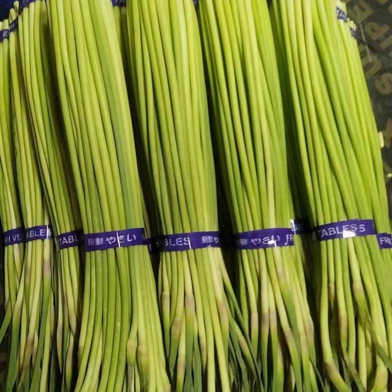 【人气旺】河南蒜薹货量大冷库打冷已打捆可以装袋赶集办年货