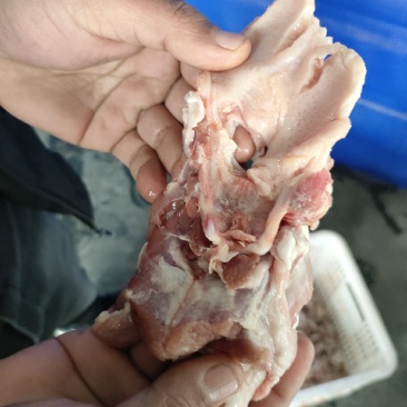 猪舌根肉