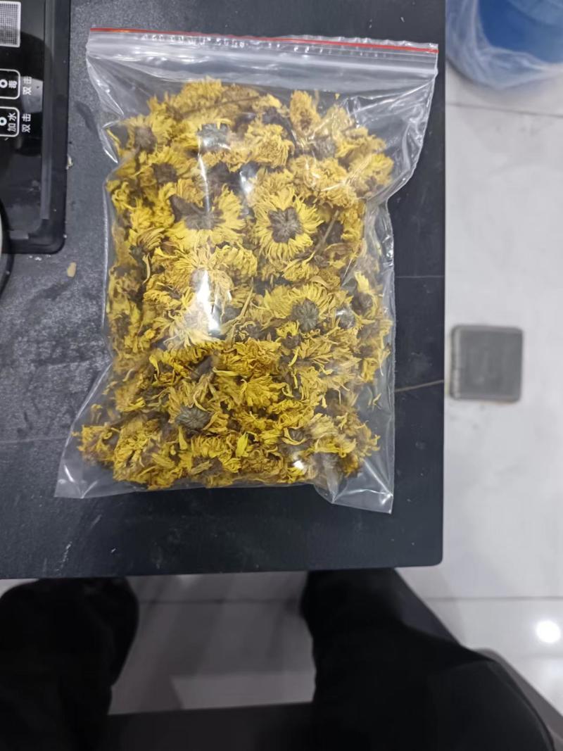 云台冰菊价格优惠保障品质1斤起都能走