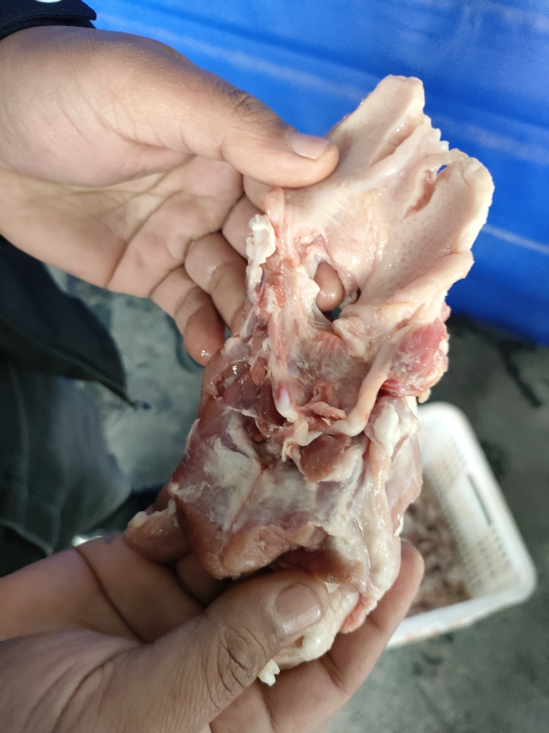 猪舌根肉