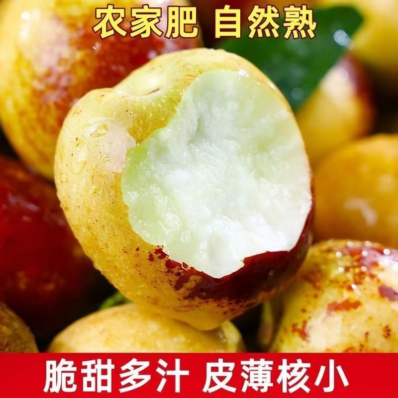 【超甜】正宗山东沾化冬枣新鲜脆枣特大果当季水果孕妇代发