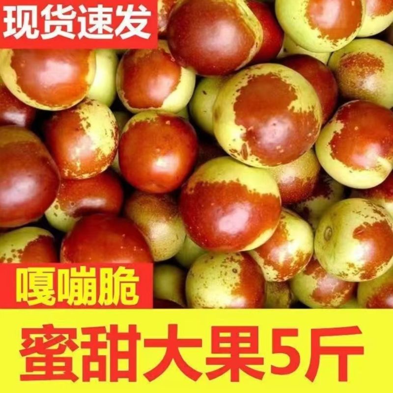 【超甜】正宗山东沾化冬枣新鲜脆枣特大果当季水果孕妇代发
