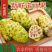 诺丽果新鲜海南水果现摘现发诺尼果做酵素原液煮水炖汤2斤包