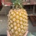 精品菠萝