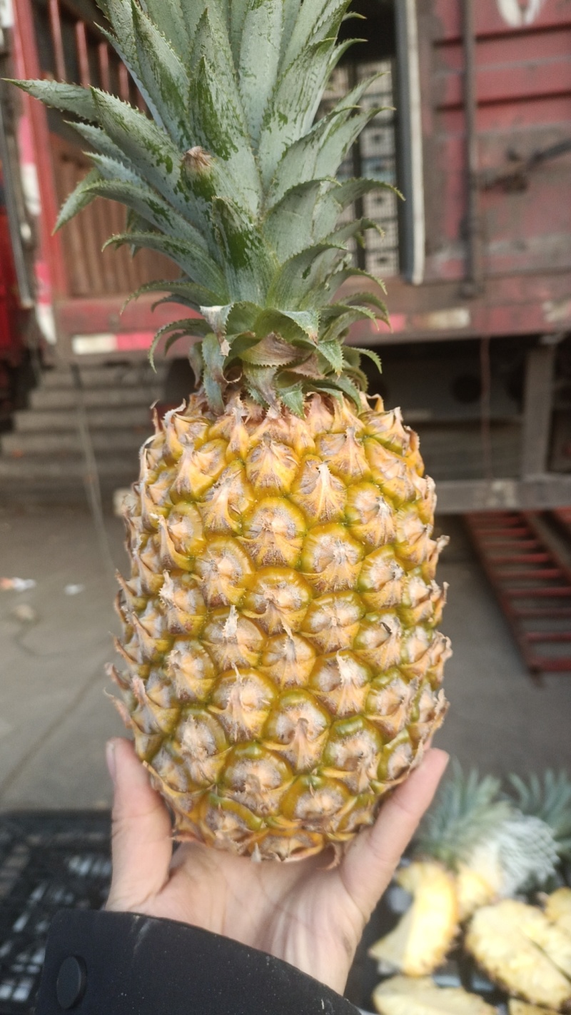 精品菠萝