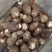 【市场电商工厂优选】山东8520毛芋头产地规格齐全品质