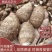 【市场电商工厂优选】山东8520毛芋头产地规格齐全品质