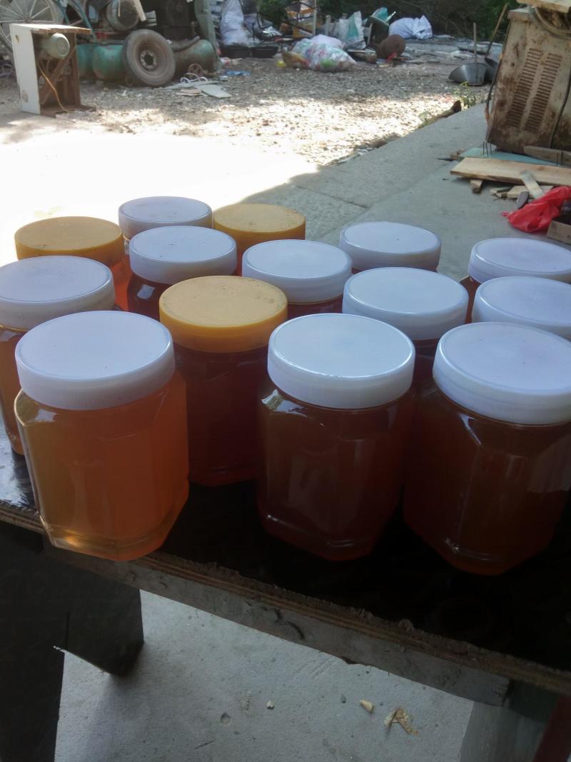 深山野生土蜂蜜，正宗原蜜，纯度高，假一赔十，品质保证