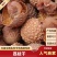 批发新货糯米糍荔枝干核小肉多软糯香甜