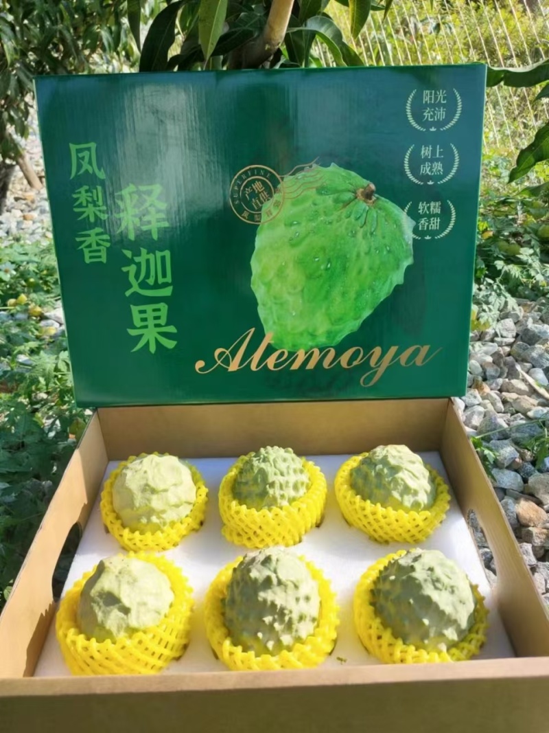 云南热带凤梨释迦