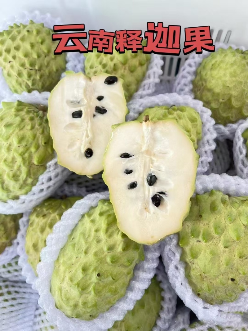 云南热带凤梨释迦