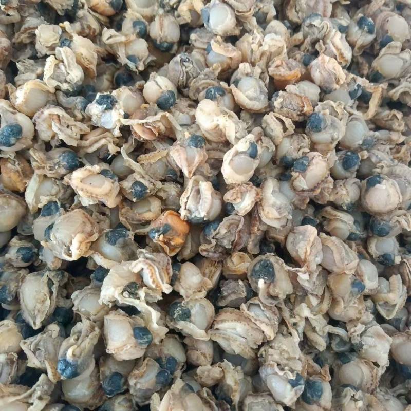 全贝干贝扇贝肉新货价格便宜质量优良