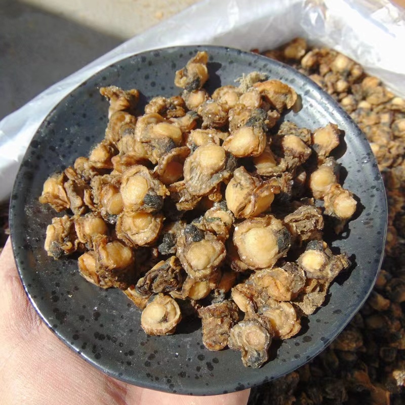 全贝干贝扇贝肉新货价格便宜质量优良