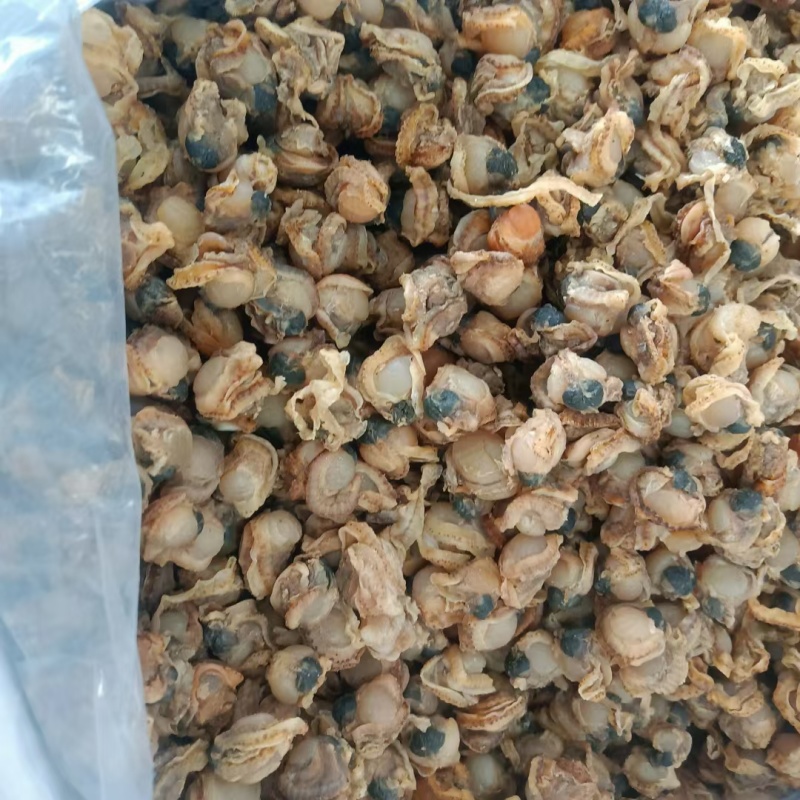 全贝干贝扇贝肉新货价格便宜质量优良