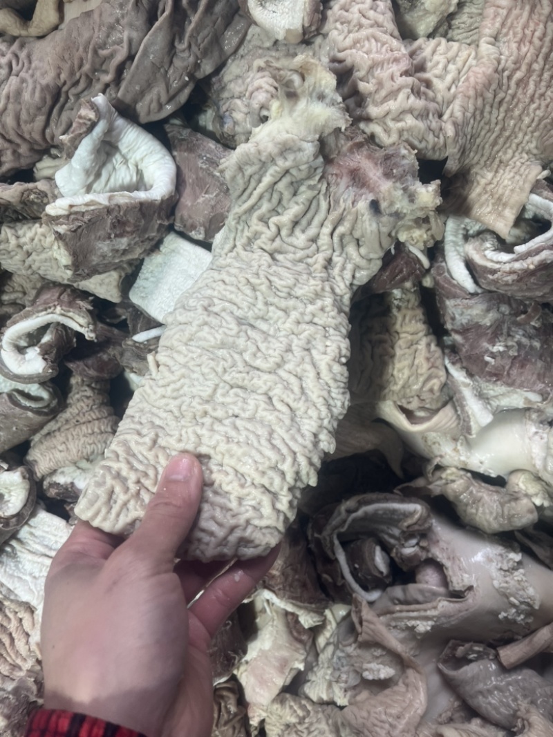 精修散肚，红肠，牛碗口