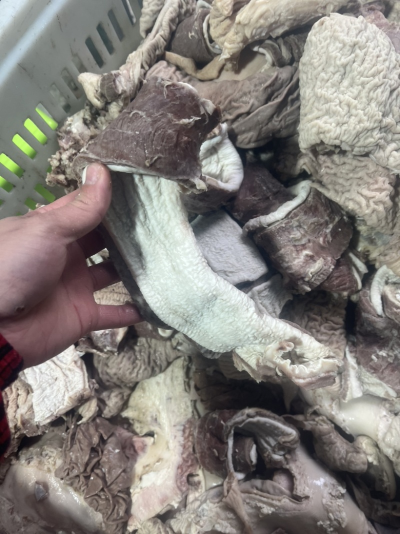 精修散肚，红肠，牛碗口