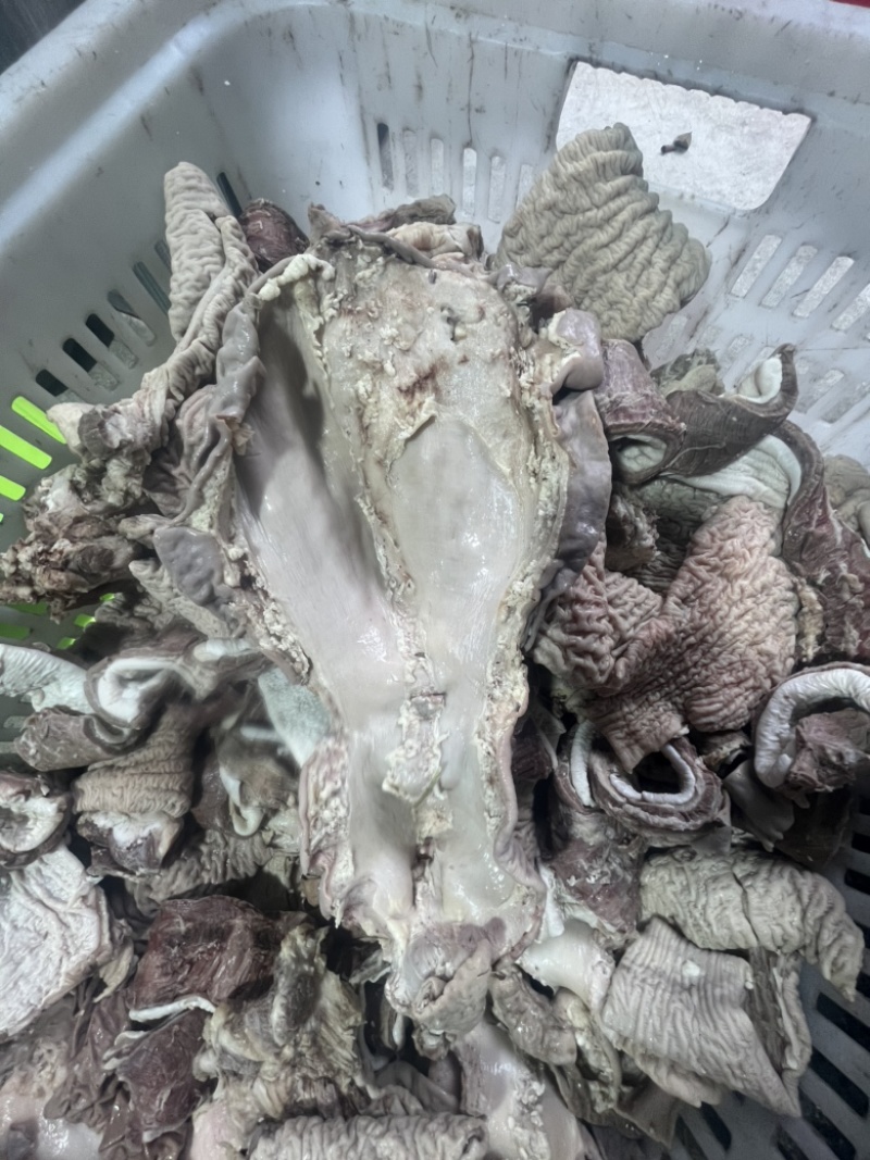 精修散肚，红肠，牛碗口