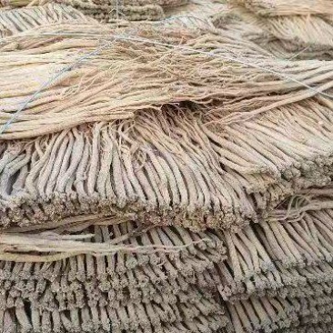 【推荐】甘肃岷县党参，原产地直发，量大从优，欢迎电话联系