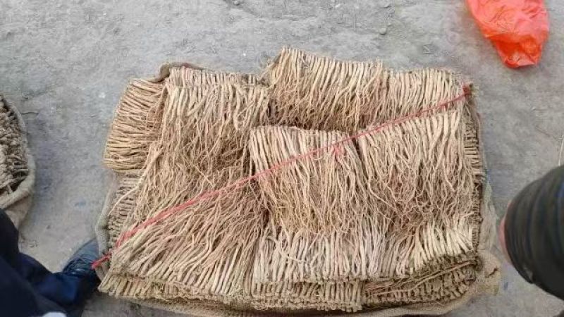【推荐】甘肃岷县党参，原产地直发，量大从优，欢迎电话联系
