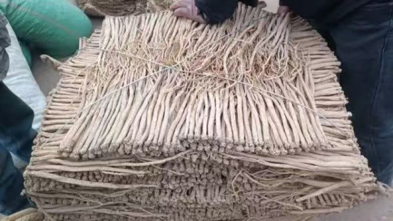 【推荐】甘肃岷县党参，原产地直发，量大从优，欢迎电话联系