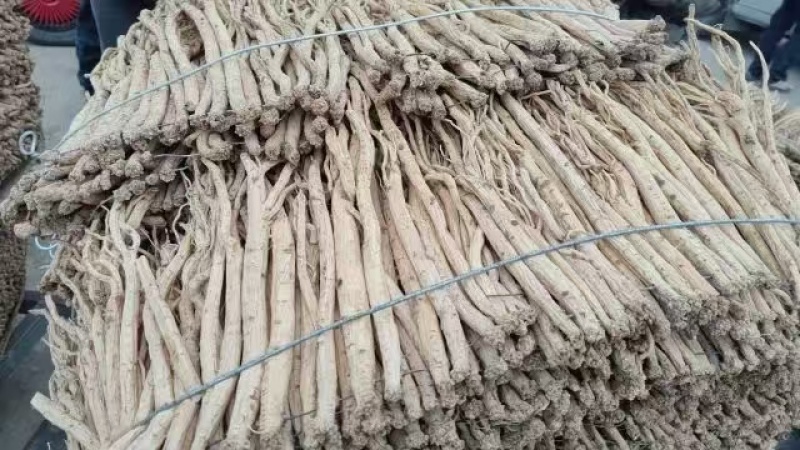 【推荐】甘肃岷县党参，原产地直发，量大从优，欢迎电话联系