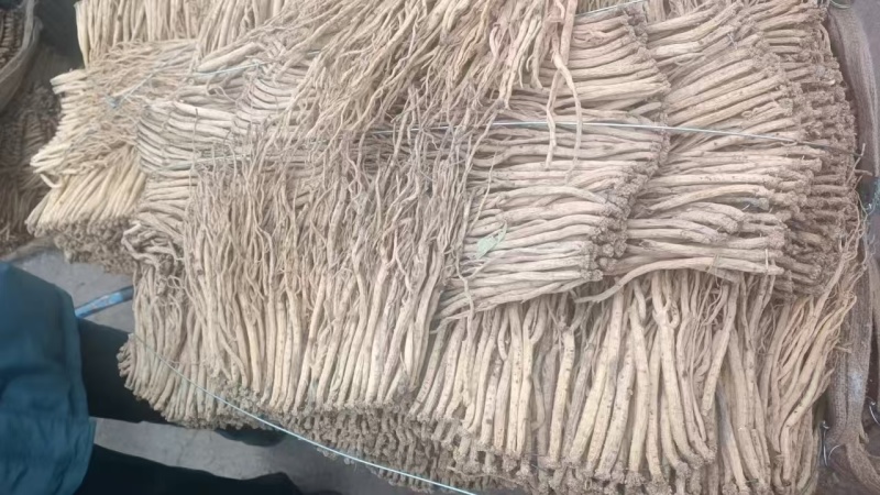 【推荐】甘肃岷县党参，原产地直发，量大从优，欢迎电话联系