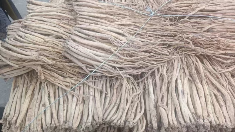 【推荐】甘肃岷县党参，原产地直发，量大从优，欢迎电话联系