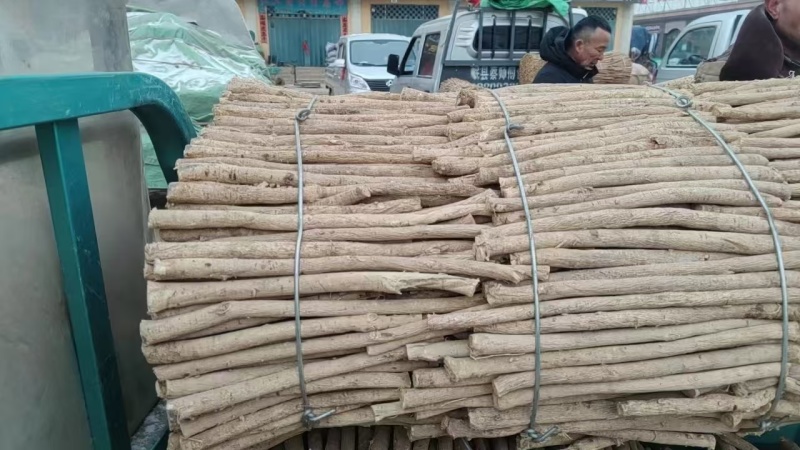【推荐】甘肃岷县黄芪，原产地直发，量大从优，欢迎联系。