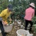 红美人果冻橙大量接单产地直发量大从优欢迎来电咨询